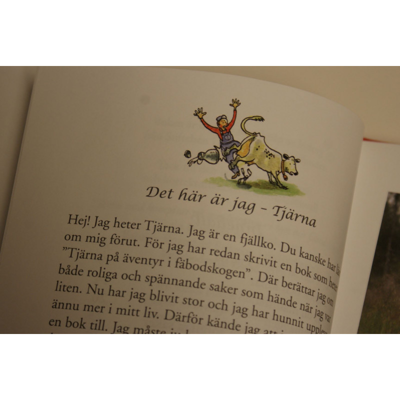 Tjärna med kompisar på nya äventyr, i...