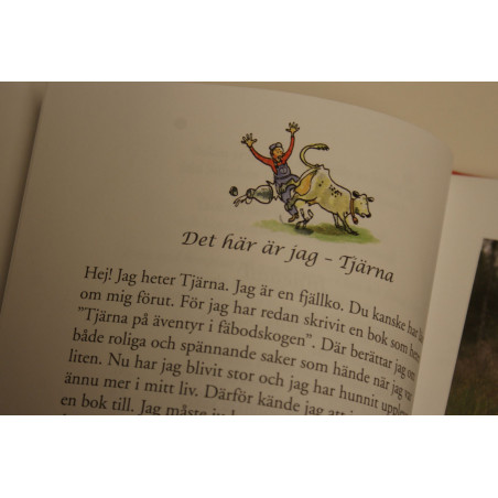 Tjärna med kompisar på nya äventyr, i byn och fäbodskogen