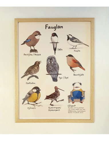 Fauglan