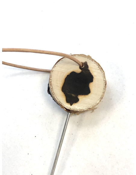 Provsticka m Jämtland/Härjedalen